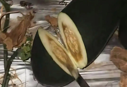 小伙深夜敲冬瓜 收入好时月入十几万